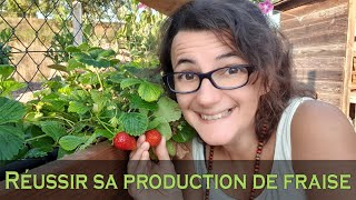 Comment réussir la culture de FRAISE au potager [upl. by Hanafee]