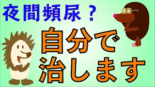 【泌尿器で聞いてみよう2】夜間頻尿が自分で治せる！？ [upl. by Kieger]