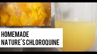 Cool before taking off lid How To Make Quinine At Home  Chloroquine alternative [upl. by Chemush]