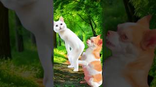 Cute Puppy😂amp Cat Dance Video🐕puppies dance catdance [upl. by Neitsirk]