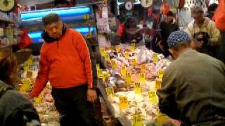 The fish market of Canal Street Chinatown NYC [upl. by Okire]