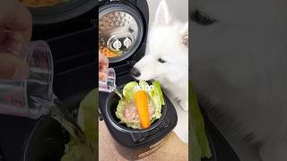 炊飯器でつくる愛犬の3時のおやつが豪華すぎた！！ サモエド サモエドスマイル炊飯器レシピ 大型犬 [upl. by Elpmid16]