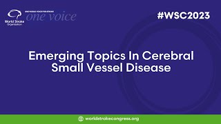 WSC 2023  Emerging Topics In Cerebral Small Vessel Disease [upl. by Belmonte885]