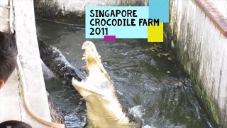 Singapore Crocodile Farm Most Dangerous School Field Trip and Mystery Jungle [upl. by Lenroc911]