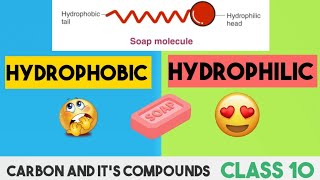 What is Hydrophobic amp HydrophilicCleaning action of Soap micellesClass 10Carbon and Compound [upl. by Leyes164]