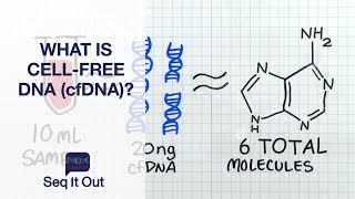 What Is CellFree DNA cfDNA  Seq It Out 19 [upl. by Schatz317]