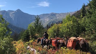 38 Miles in 36 Hours Bob Marshall Wilderness Elk Hunt 2019 Bull Down DIY [upl. by Nassah947]