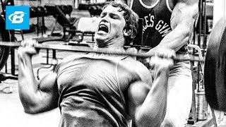 Arnold Schwarzenegger Motivation  Blueprint Training Program [upl. by Jegger188]