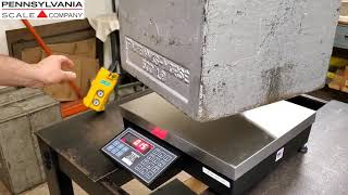 Pennsylvania Scale Company Bench Scales Rugged and Reliable [upl. by Warga]