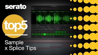 Top 5  Serato Sample x Splice Tips [upl. by Irem216]