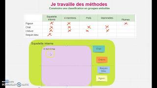 Tutoriel  apprendre à classer en groupes emboîtés SVT cycle 3 [upl. by Lalitta]