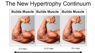 How Many Reps to Build Muscle Dr Brad Schoenfeld [upl. by Edmea]