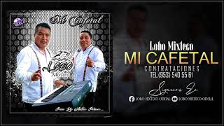 Lobo Mixteco  Mi Cafetal  Produccion 2021 [upl. by Alejo302]