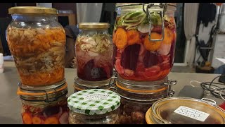 Lactofermentation des topinambours  1 vidéo 3 recettes [upl. by Orrocos931]