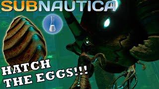 Subnautica EASIEST Way To Get Hatching Enzymes For The Sea Emperor [upl. by Raymond987]