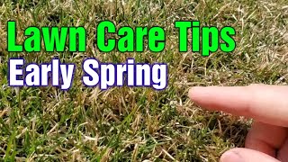 Early Spring Lawn Tips What To Do 1st 2nd amp 3rd [upl. by Dempster]