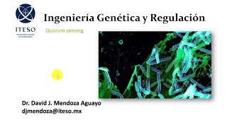 Quorum sensing [upl. by Galvan831]