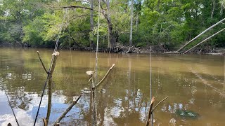 Mishap On Calcasieu River Needed A Vacation ￼ [upl. by Nitin922]