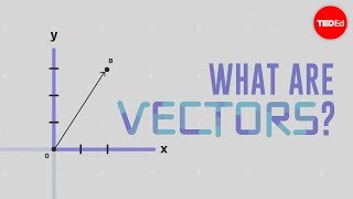 What is a vector  David Huynh [upl. by Neetsirk263]