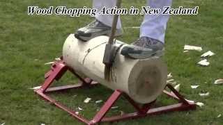 Wood chopping Action in New Zealand [upl. by Gnilrad]