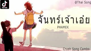 Song thai in tik tok 🎶🎵🎶🎧 [upl. by Hanley]