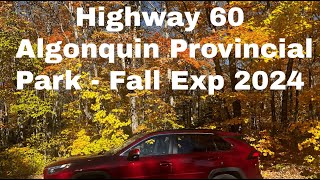 Canada Fall Experience  Algonquin Provincial Park [upl. by Elson]