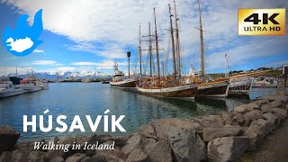 Iceland Walking Tour  Húsavík 4K [upl. by Sidonius]