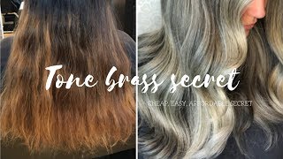 How To Tone Hair CHEAP EASY SECRET [upl. by Voltmer]