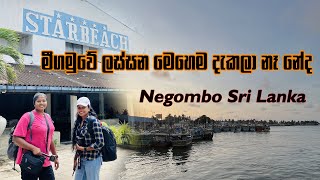 Negombo Lagoon  Around Sri Lanka [upl. by Ilamad]