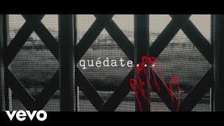 Macaco  Quédate Lyric Video ft Silvia Pérez Cruz [upl. by Nnyllatsyrc]