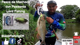 Pesca de Machaca con Paseante Artesanal quotLord Fishing™️quot [upl. by Asilem]