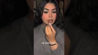 Lip Liner Tutorial makeup lipliner lipcombo lipcontour makeupforever maccosmetics lipgloss [upl. by Anastas]