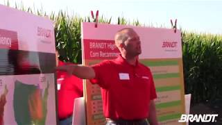 BRANDT Agronomy Update HighYield Corn Demonstration [upl. by Janot]