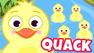 FIVE LITTLE DUCKS Nursery Rhyme with Lyrics  Kids Songs [upl. by Areval]