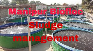 part6 manipur biofloc sludge management  manipur biofloc fish farming [upl. by Garwin902]