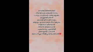 viral thottal viriyunna pen poove❤️lyricsshorts videos [upl. by Freya239]