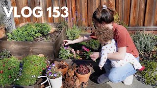 Jardin lecture amp aménagement  VLOG 153 [upl. by Jacquie]