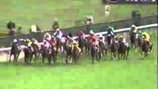 1993 Prix de lArc de Triomphe [upl. by Dolly]