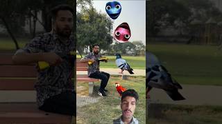 Magic bird vfx video funny birdmagic comedy parrot vfx birds youtubeshorts [upl. by Ekralc]