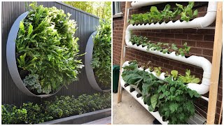 Beautiful vertical garden ideas 50 examples to implement on your garden plot [upl. by Jud]