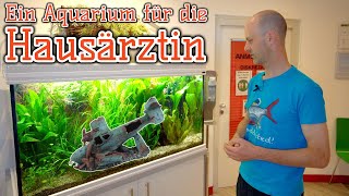 Ein Aquarium für die Arztpraxis  Einmaliger Kundenauftrag  Guppys Platys amp Kärpflinge [upl. by Oterol]