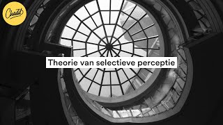 Theorie van selectieve perceptie  Mr Chadd Academy [upl. by Aihsit]