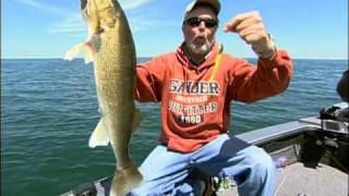 About Walleyes amp Spinner Rigs [upl. by Nyrat]