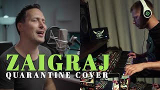 PEDJA JOVANOVIC amp ALEKSANDAR STEVIC  ZAIGRAJ COVER [upl. by Zipah175]