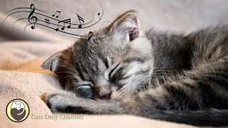 Cat Music  Relaxing Harp Music amp Cat Purring Sounds  Stress Relief Anxiety Relief [upl. by Thordia]