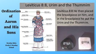 Ordination of Aaron and His Sons Leviticus 8 113 Sundays Sunday School Lesson [upl. by Karim619]