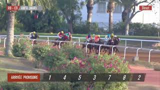 Live Hippodrome « CASABLANCA »  Courses du «16092024 » [upl. by Garaway]