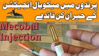 Methycobal Injection Review Urdu Hindi Mecobalamin Intection 500Vitamin B12  Aamir rajpoot aseels [upl. by Larred]