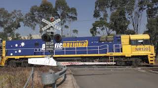 Level Crossing Greenacre Enfield Yard NSW Australia [upl. by Wallack846]