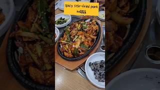 Spicy pork bulgogi Jeyuk Bokkeum [upl. by Ahsiekit851]